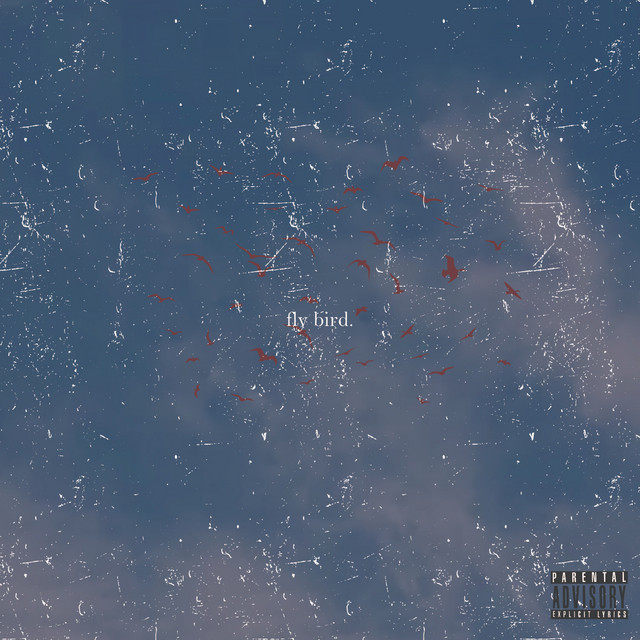 fly bird. cover art