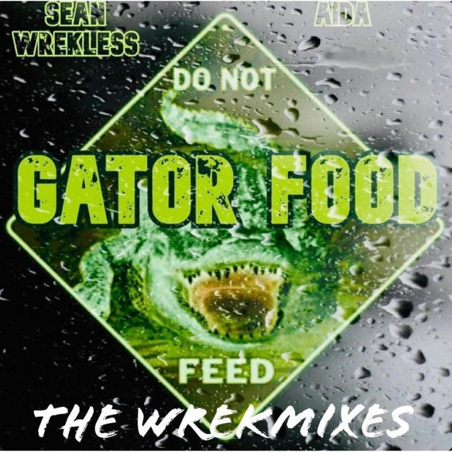 Обкладинка Aida — Gator Food the Wrekmixes (Remix)