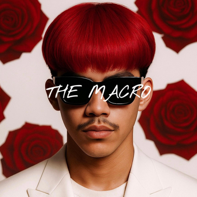 THE MACRO cover art