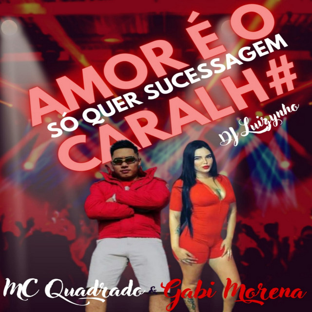 Amor é o caralho-Só quer sucessagem