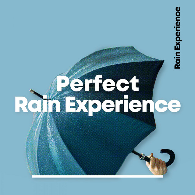 Perfect Rain Experience cover art