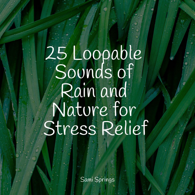 25 Loopable Sounds of Rain and Nature for Stress Relief - Album by ...