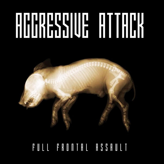 Full Frontal Assault cover