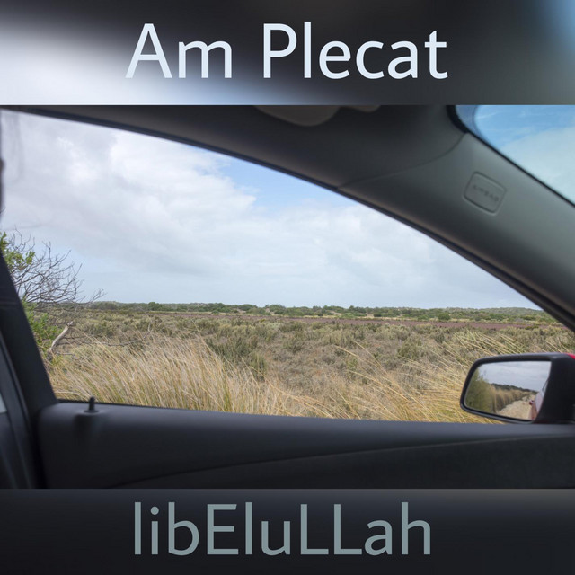 Am Plecat cover art