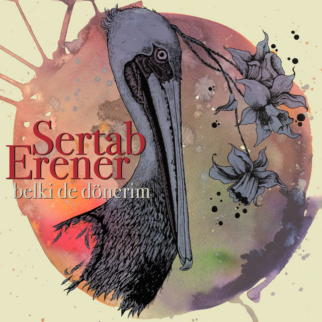 Belki De Dönerim cover art