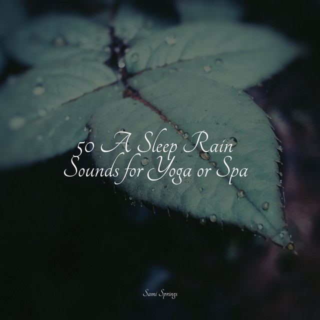 50 A Sleep Rain Sounds for Yoga or Spa - Album by White Noise Sound ...