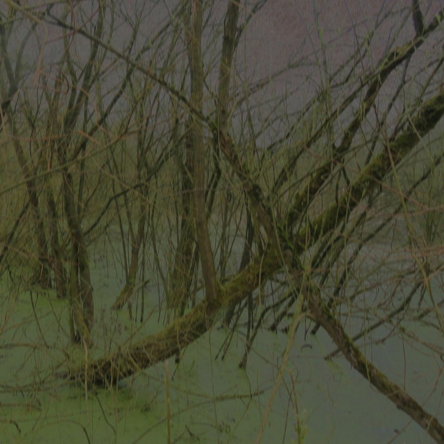 Vreden cover art