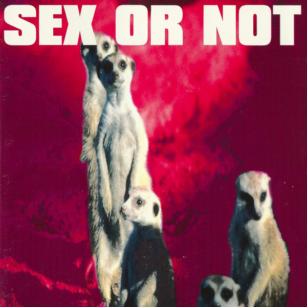 Sex Or Not