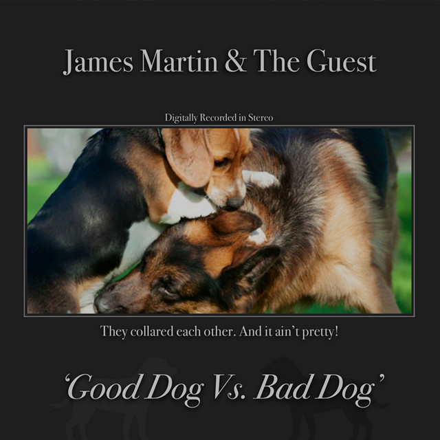 Good Dog Vs. Bad Dog cover art