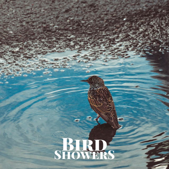 Bird Showers by Sleep Miracle