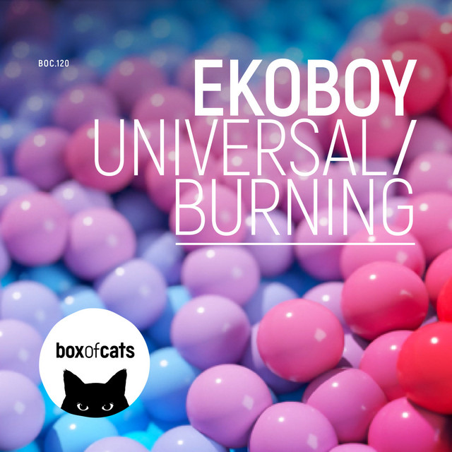 Universal - Extended Mix album art