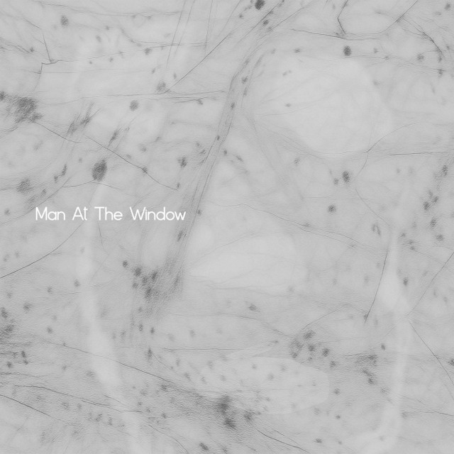 Man at the Window