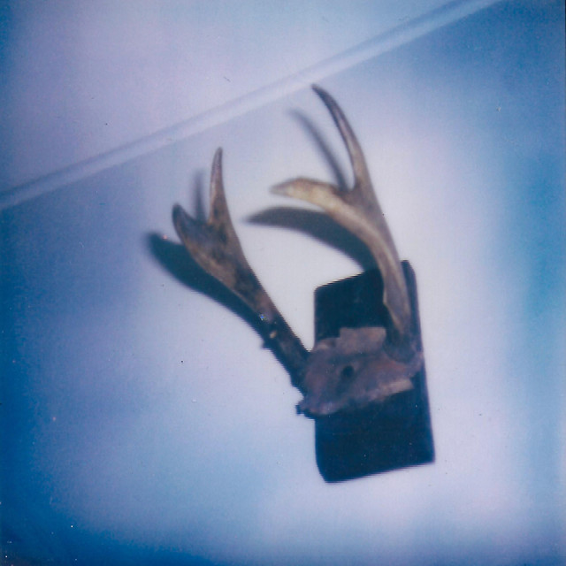 Not jus roadkill cover art