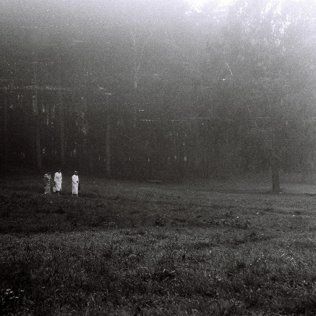 Few survivors cover