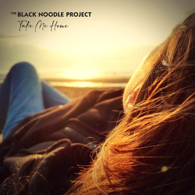 Take Me Home - EP by The Black Noodle Project | Spotify
