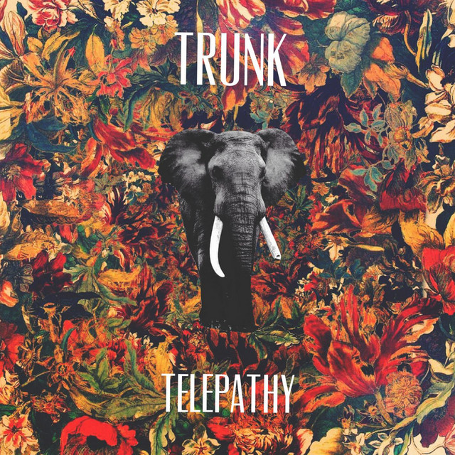 Telepathy cover