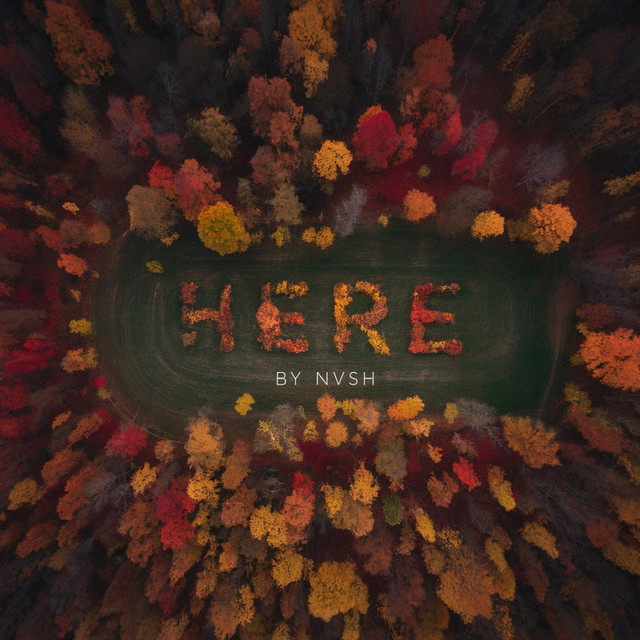 here cover art