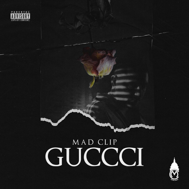 Guccci cover