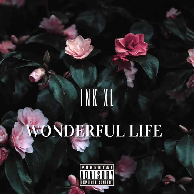 Wonderful Life