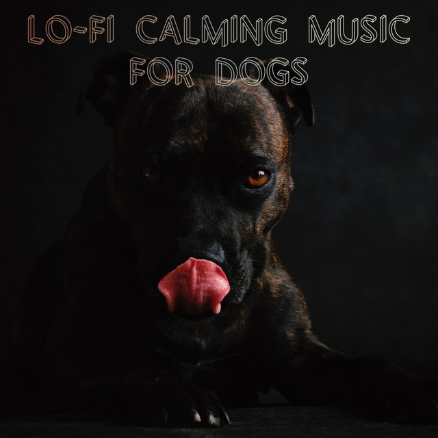 Lo-Fi Calming Music for Dogs cover art