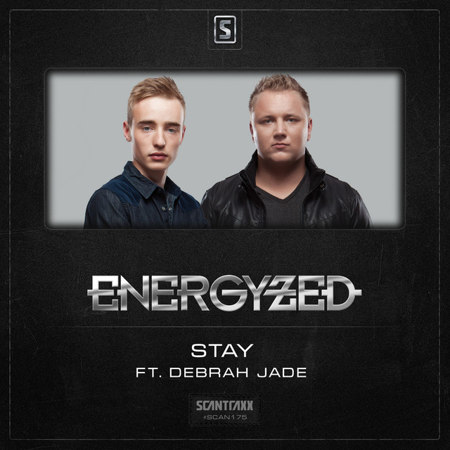 Stay cover