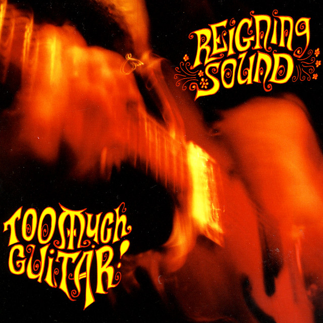 Too Much Guitar cover art