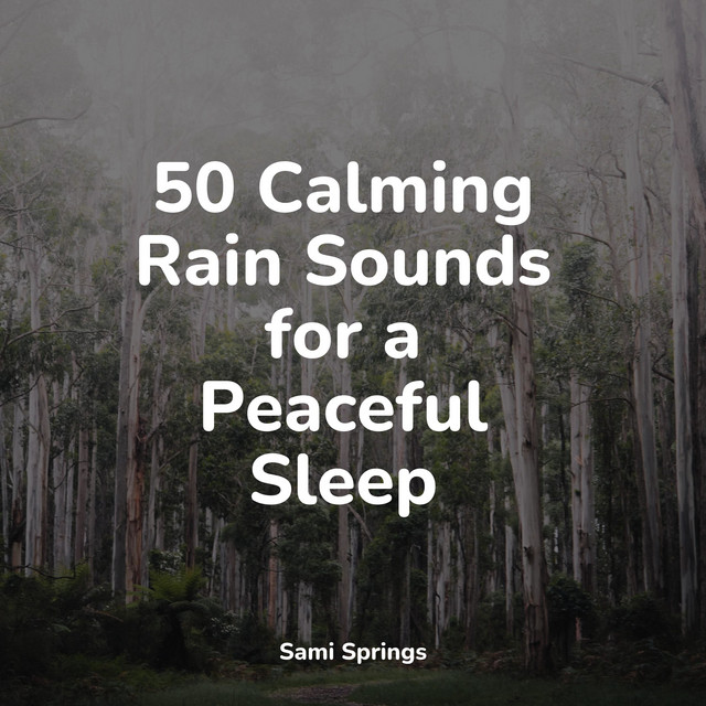 50 Calming Rain Sounds for a Peaceful Sleep - Album by Academia de ...