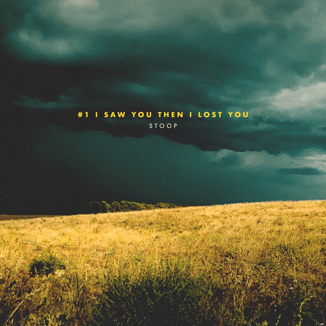 #1 I Saw You Then I Lost You cover art