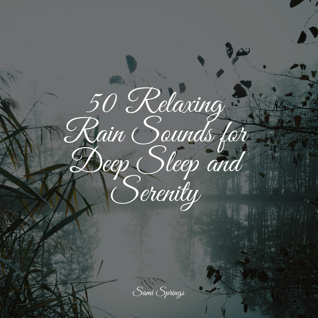 50 Relaxing Rain Sounds for Deep Sleep and Serenity - Album by Sleep ...