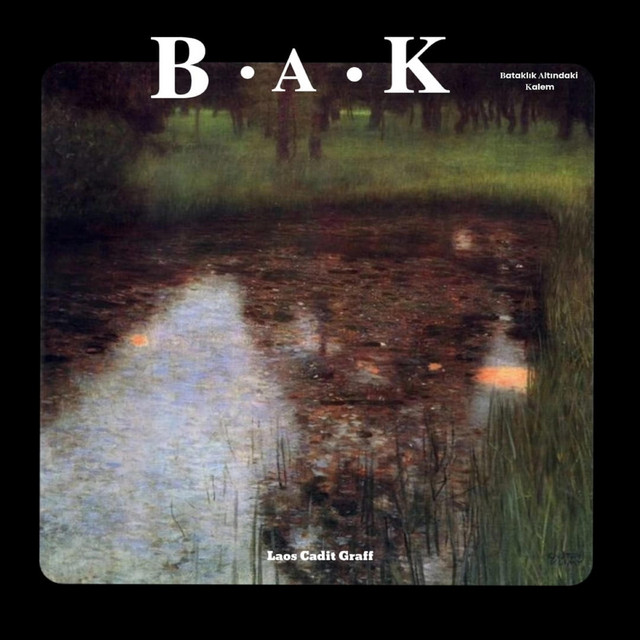 B.A.K cover art