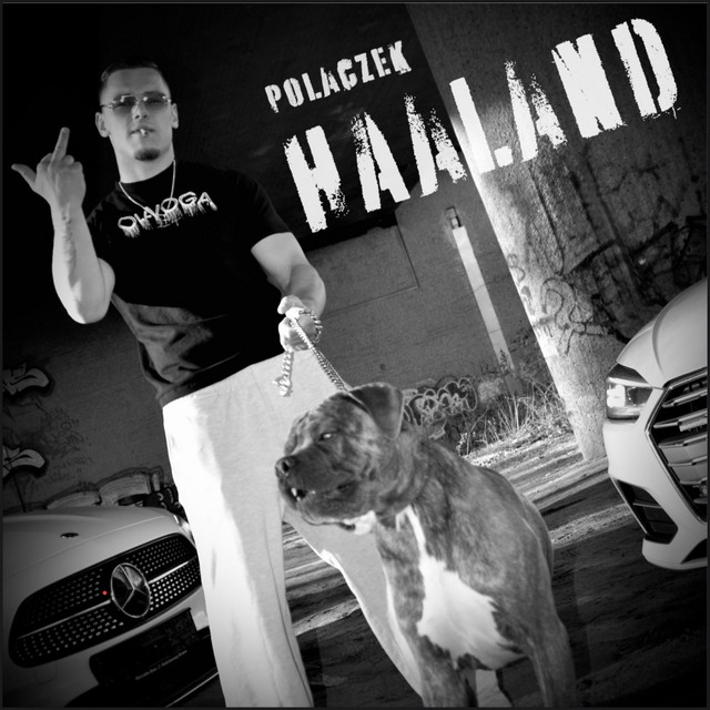 HAALAND