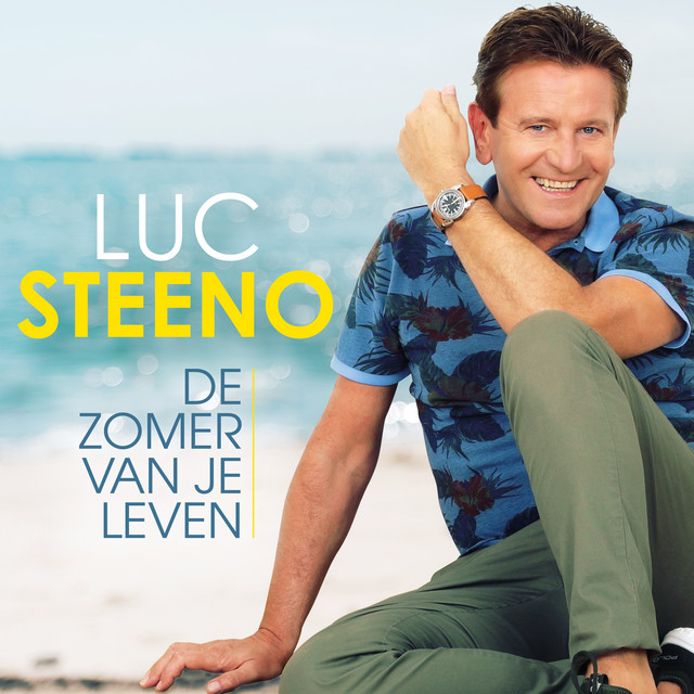 De Zomer Van Je Leven cover art