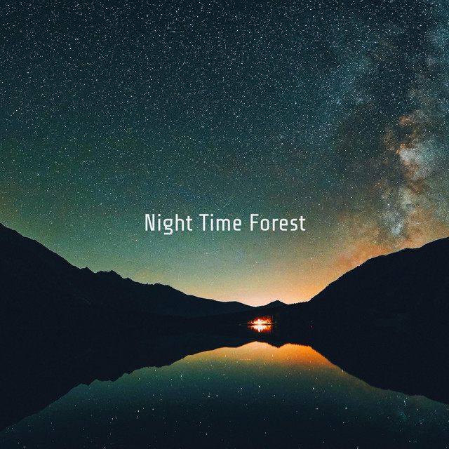 Night Time Forest cover art