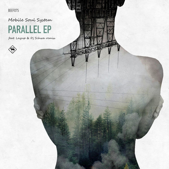 Parallel cover art