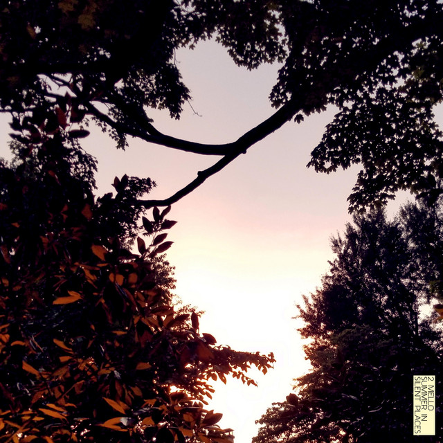 Summer in Silent Places cover art