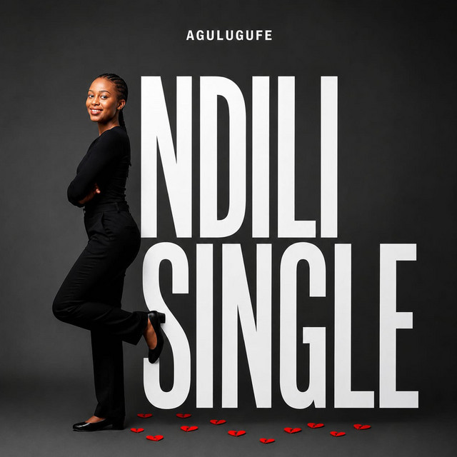 Ndili single - Single by Agulugufe Project | Spotify