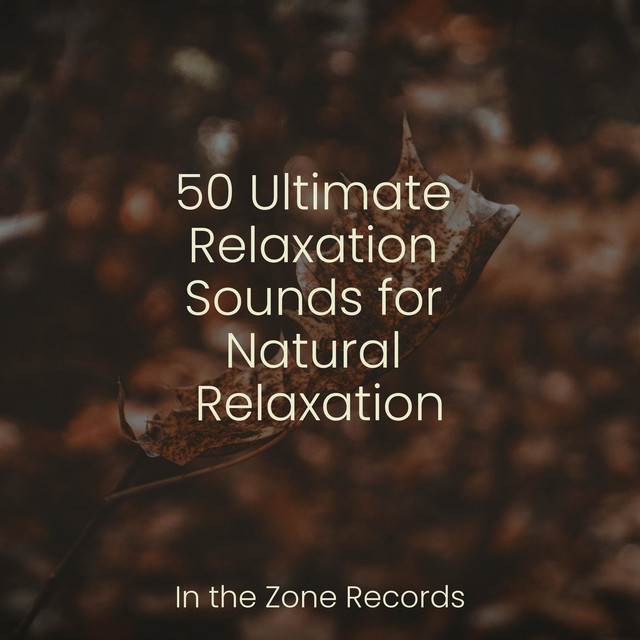 50 Ultimate Relaxation Sounds for Natural Relaxation - Album by ...