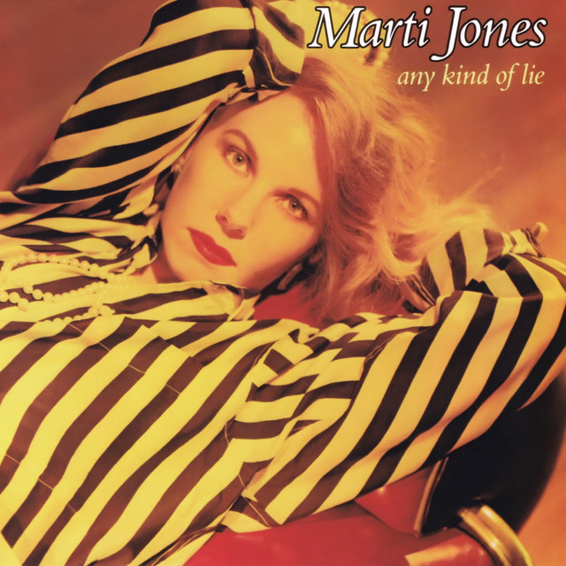 Any Kind Of Lie cover