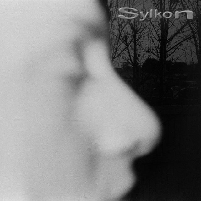 Sylkon cover art