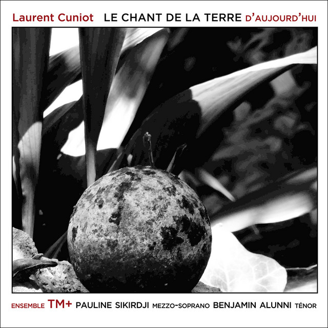 Le chant de la terre: Chanson à boire - Chanson à boire