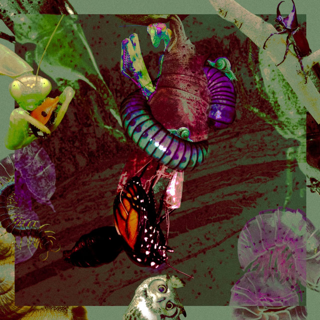 Metamorfosis cover art