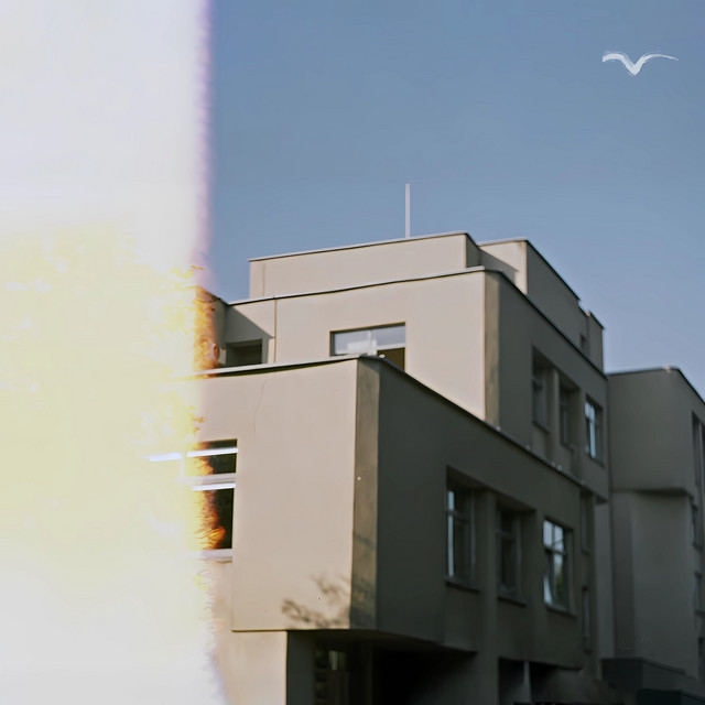 bevietystė cover art