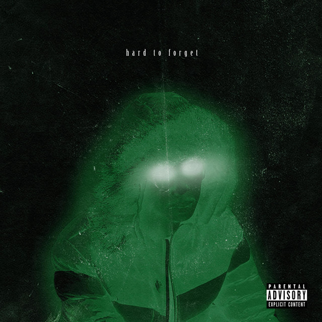 Hard To Forget cover art