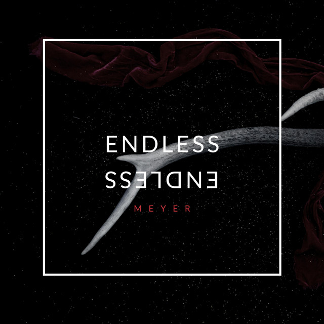 Endless cover art