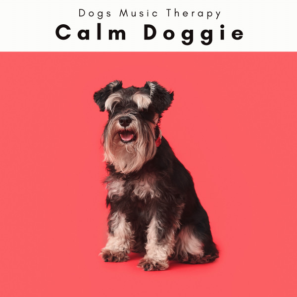 1 Calm Doggie - Album by Dogs Music Therapy | Spotify