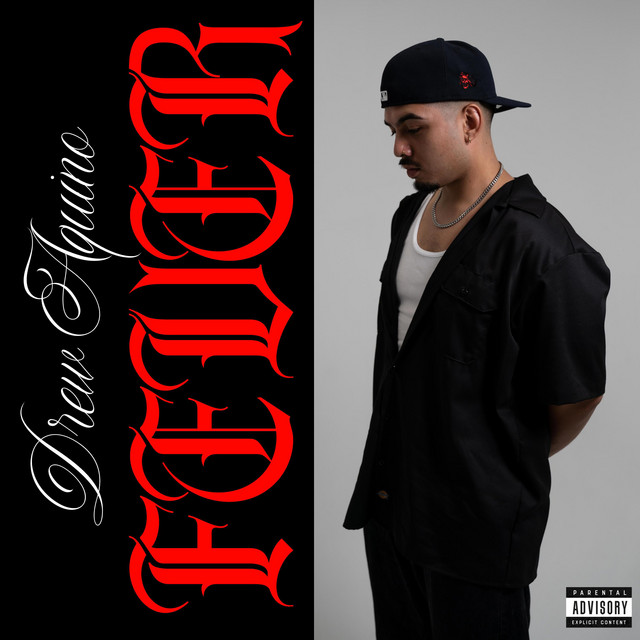FEVER cover art