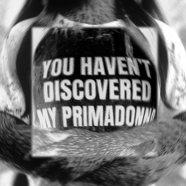 You haven't discovered my primadonna cover