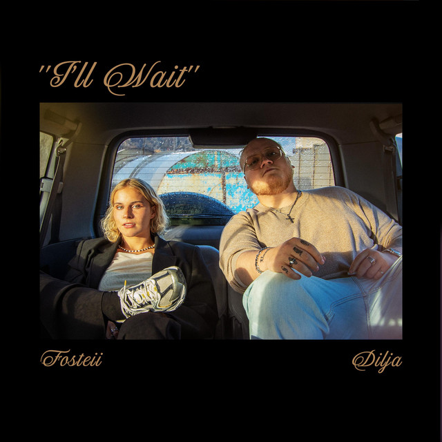 I'll Wait cover art