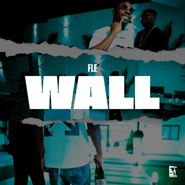 Wall cover art