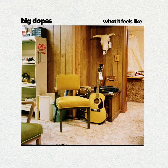 What It Feels Like album image